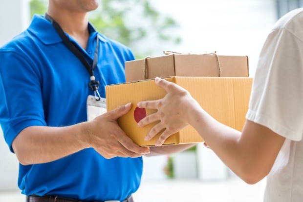 Domestic courier service within India
